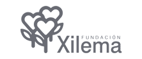 Fundación Xilema